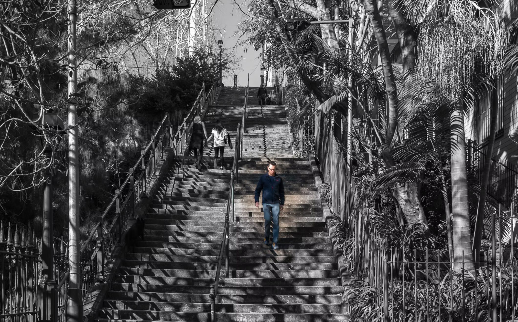 People walking down a tree-lined staircase.